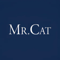 Mr. Cat